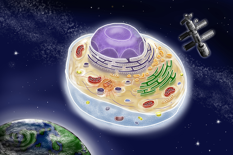 Fictional graphic showing a cell as battle star galactica